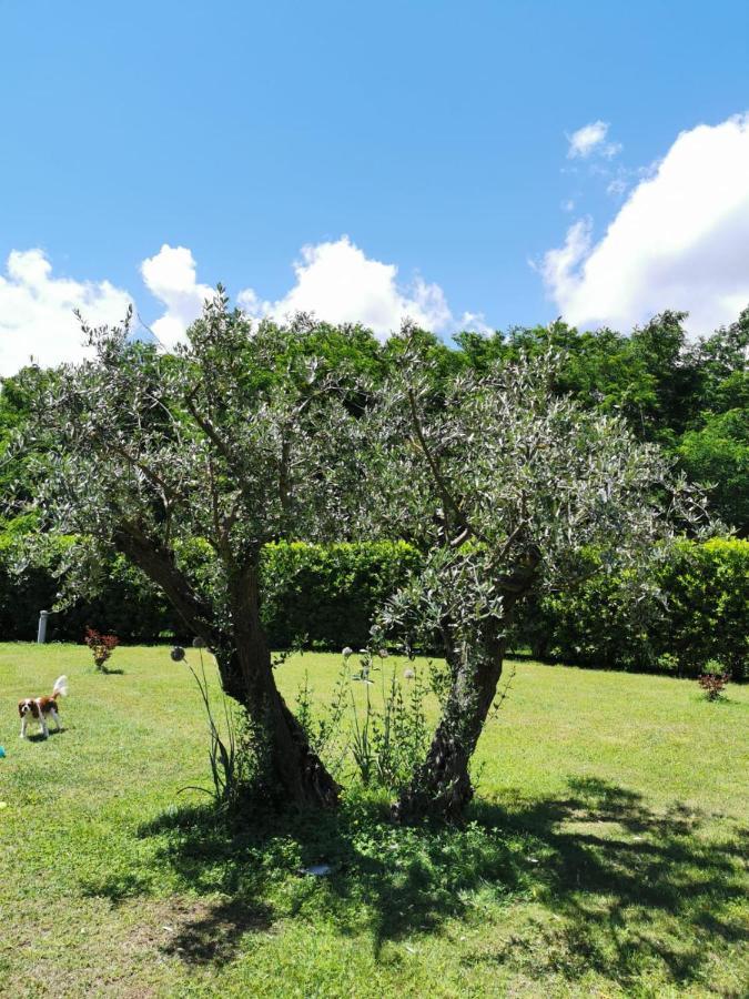 Villa Giulia Gragnola ภายนอก รูปภาพ